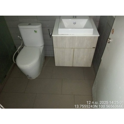 296501pic2