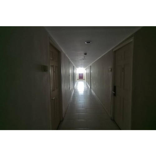 296499pic2