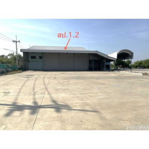 293231pic1
