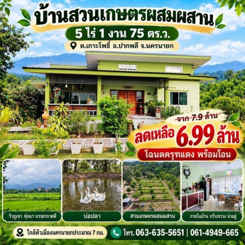 536853pic1