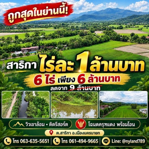 536851pic1
