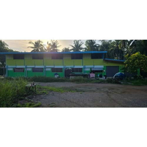 297659pic2