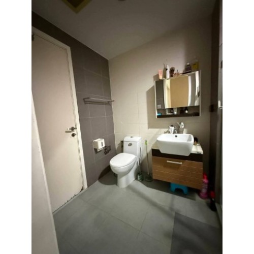 536840pic2
