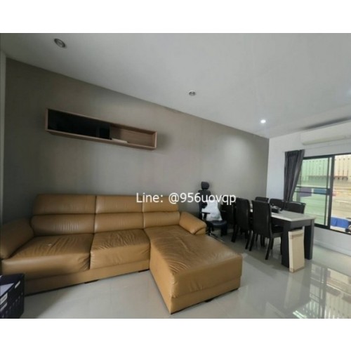 297452pic2