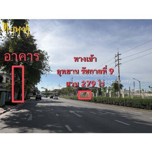 297967pic2