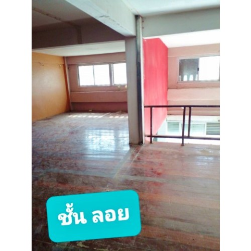 298039pic2