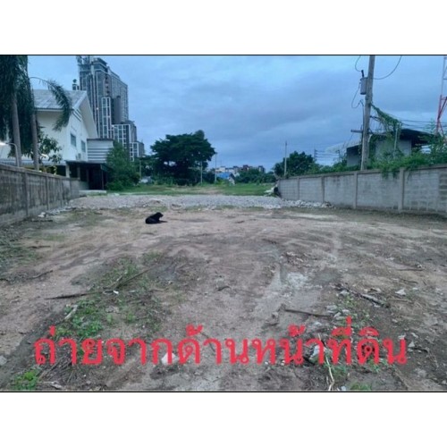 313648pic2