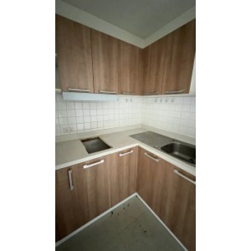 293712pic1