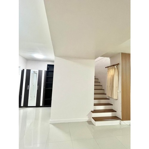 537129pic2