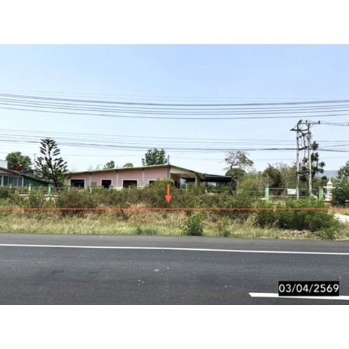 297716pic1