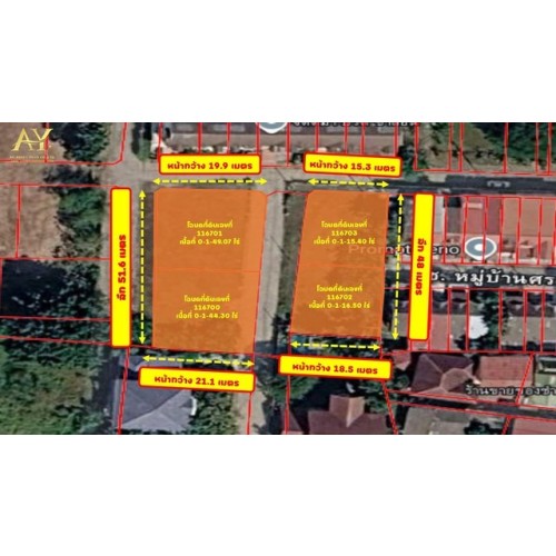 297751pic1