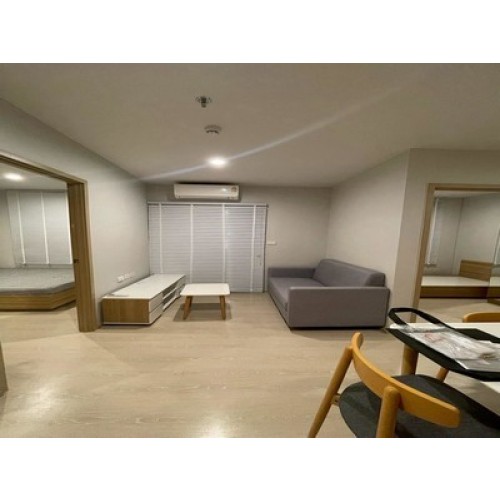 537169pic2