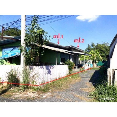 293174pic1
