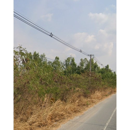 299260pic2