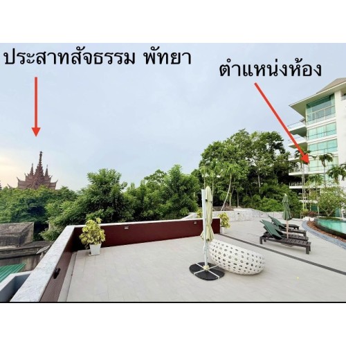 299319pic1