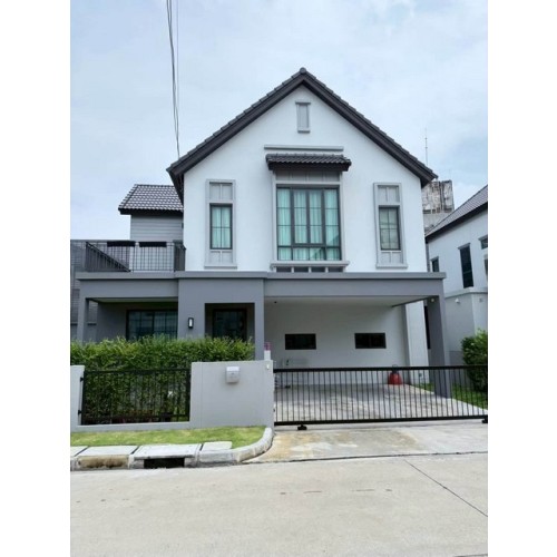 537429pic1