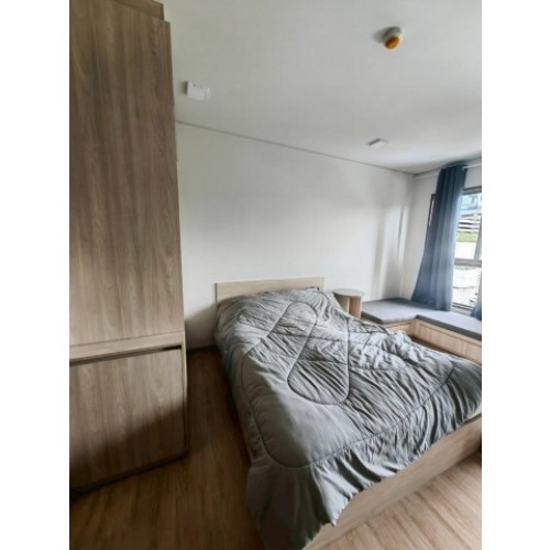 537274pic2