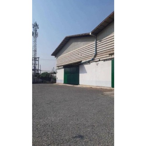 537561pic2