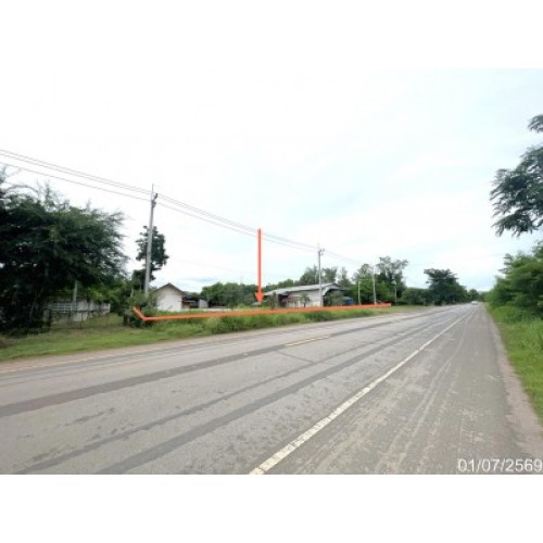 299074pic2