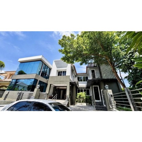 537532pic1