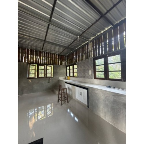 300604pic2