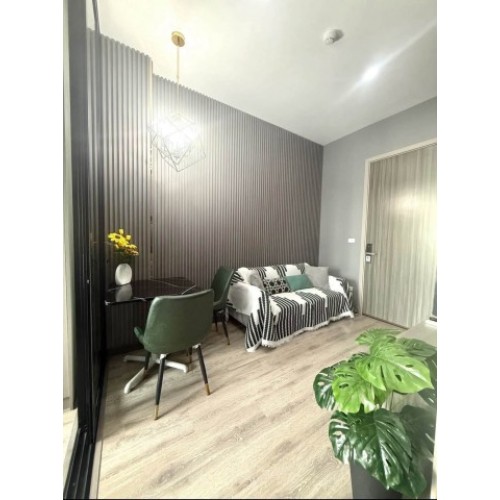 537623pic2