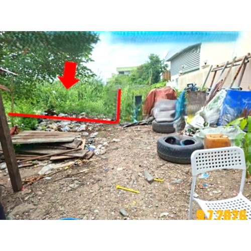 294941pic1