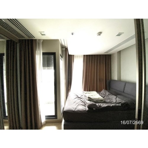 299382pic1