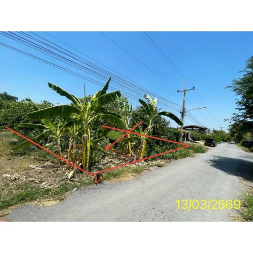 294830pic2