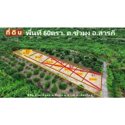 276373pic1