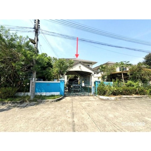 295024pic1
