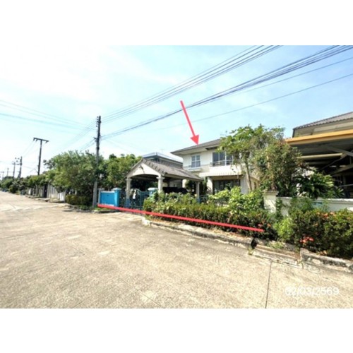295024pic2
