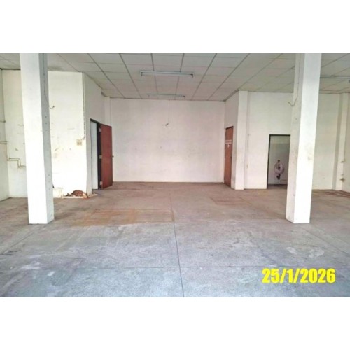 295131pic2