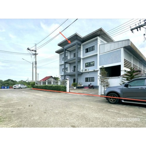 295031pic2
