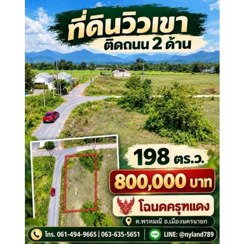 537908pic1