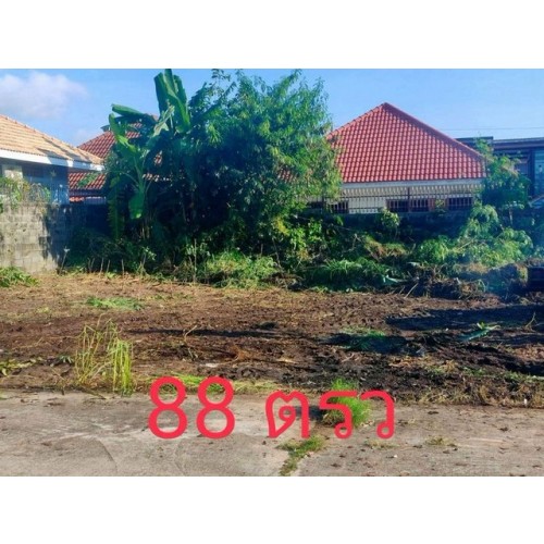 314856pic2