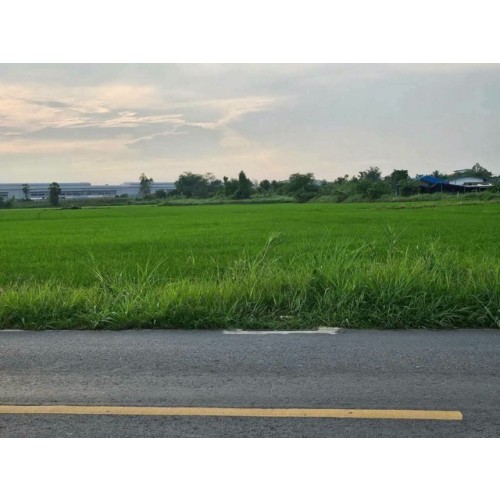 298040pic1