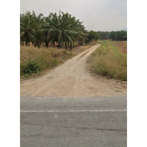 298046pic2