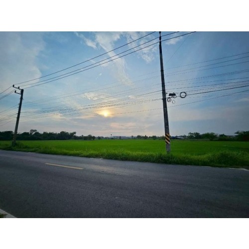 298040pic2