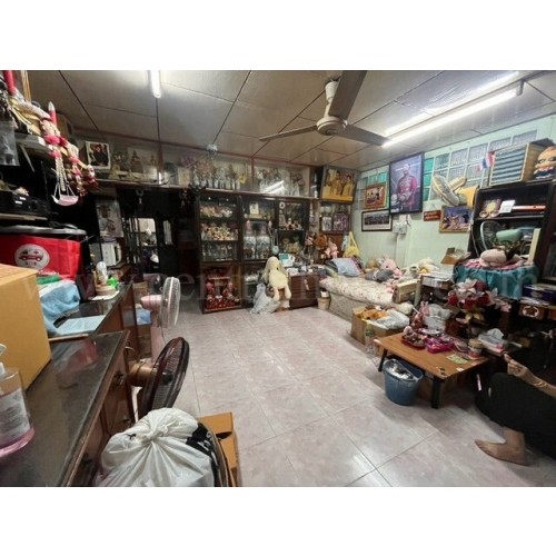 298084pic2
