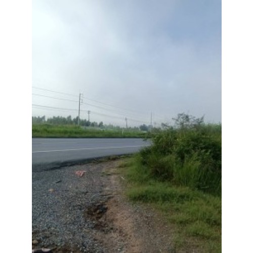 330142pic2