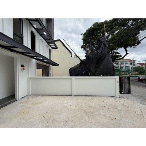 537267pic2