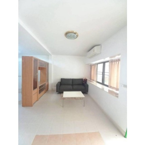 538160pic2