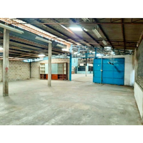 302257pic1