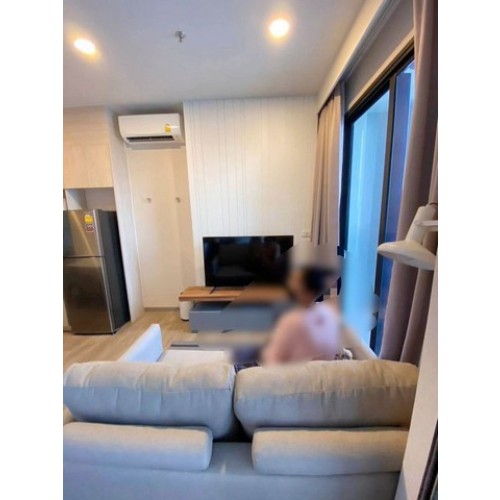315610pic2